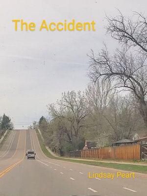 cover image of The Accident